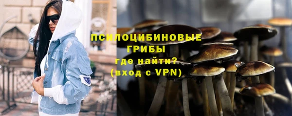 мяу мяу мука Мурманск