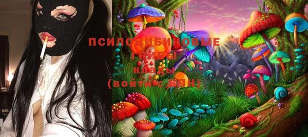 прущая мука Инсар
