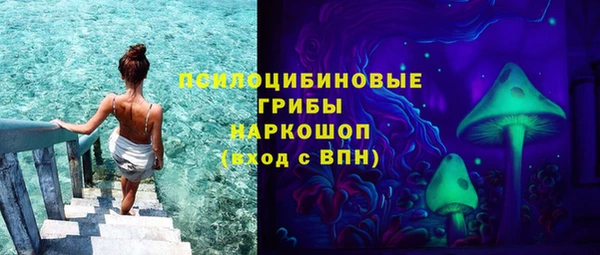 прущая мука Инсар