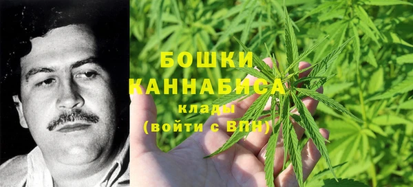 прущая мука Инсар