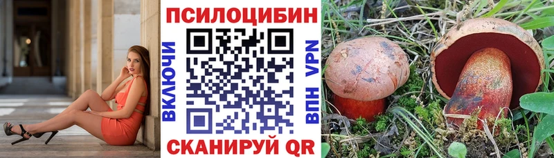 Галлюциногенные грибы Psilocybine cubensis  Нелидово 
